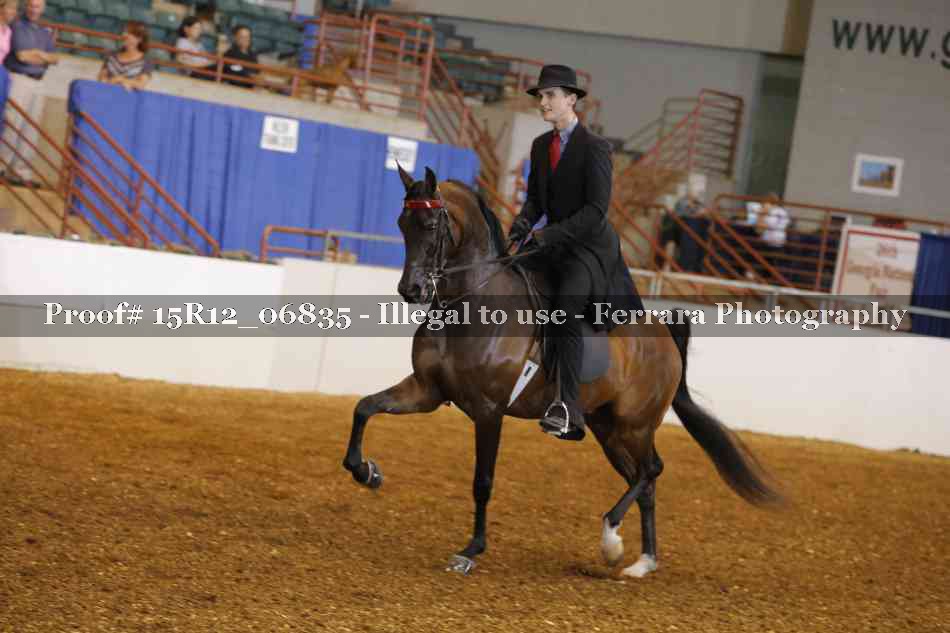 Proof 15R12_06835