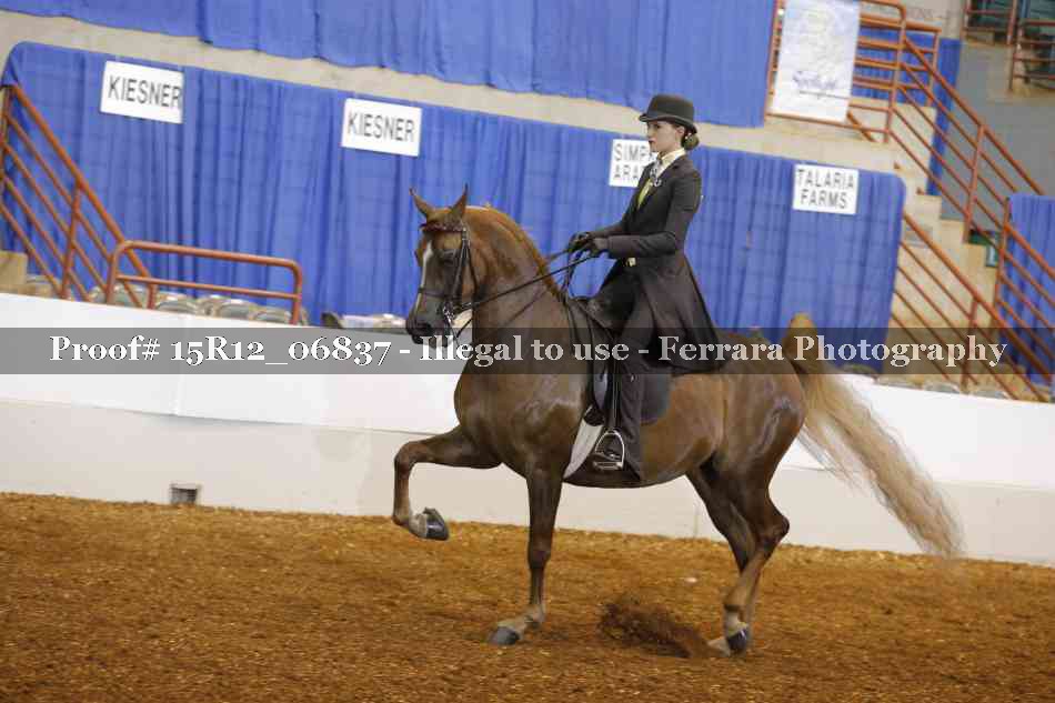 Proof 15R12_06837