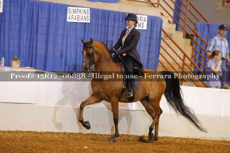 Proof 15R12_06838