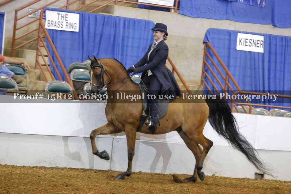 Proof 15R12_06839