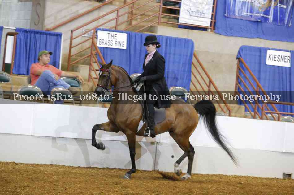 Proof 15R12_06840