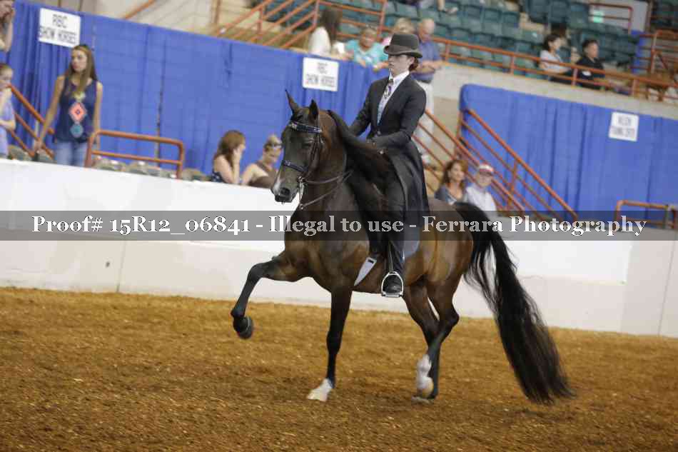 Proof 15R12_06841