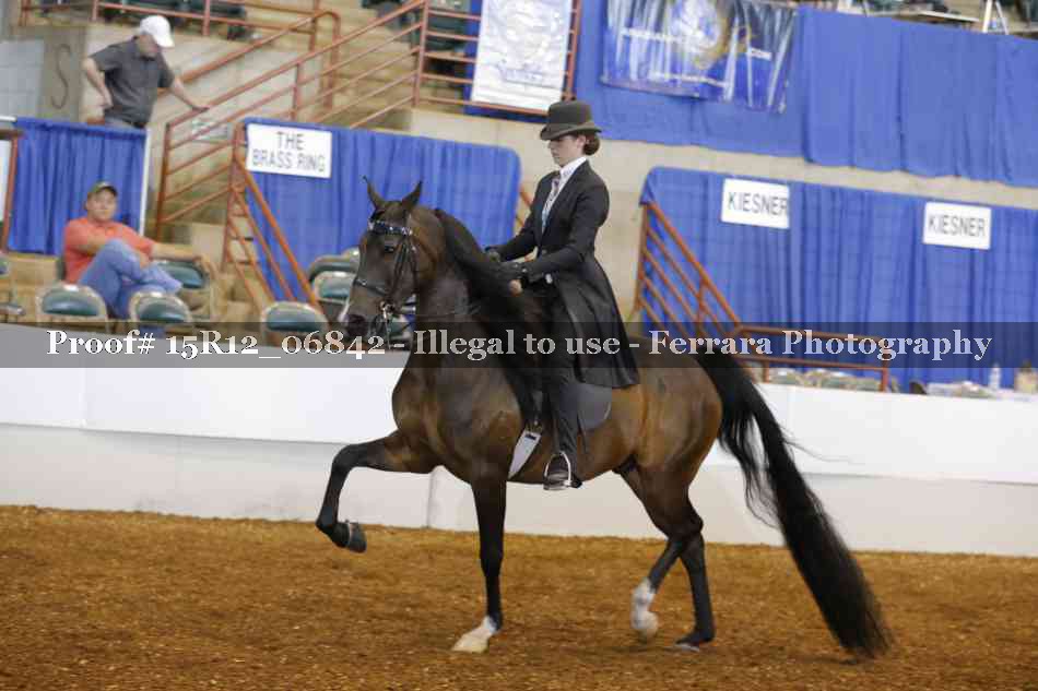 Proof 15R12_06842