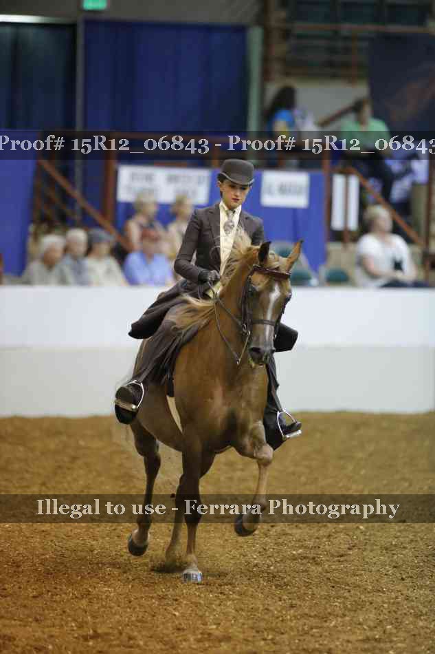 Proof 15R12_06843