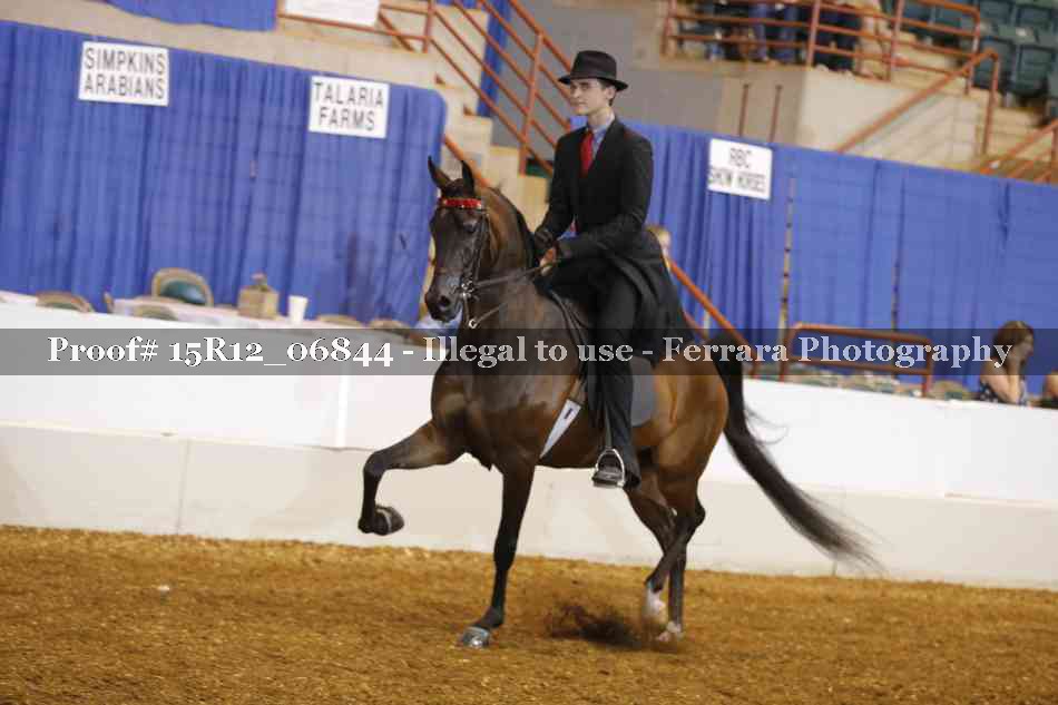 Proof 15R12_06844