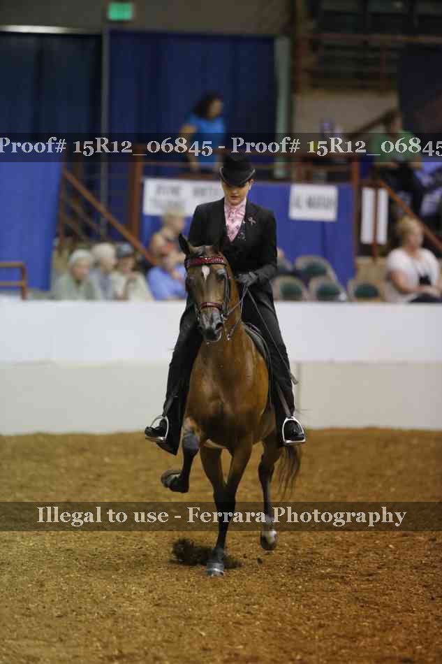 Proof 15R12_06845