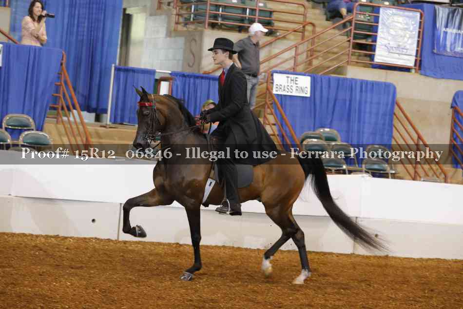 Proof 15R12_06846