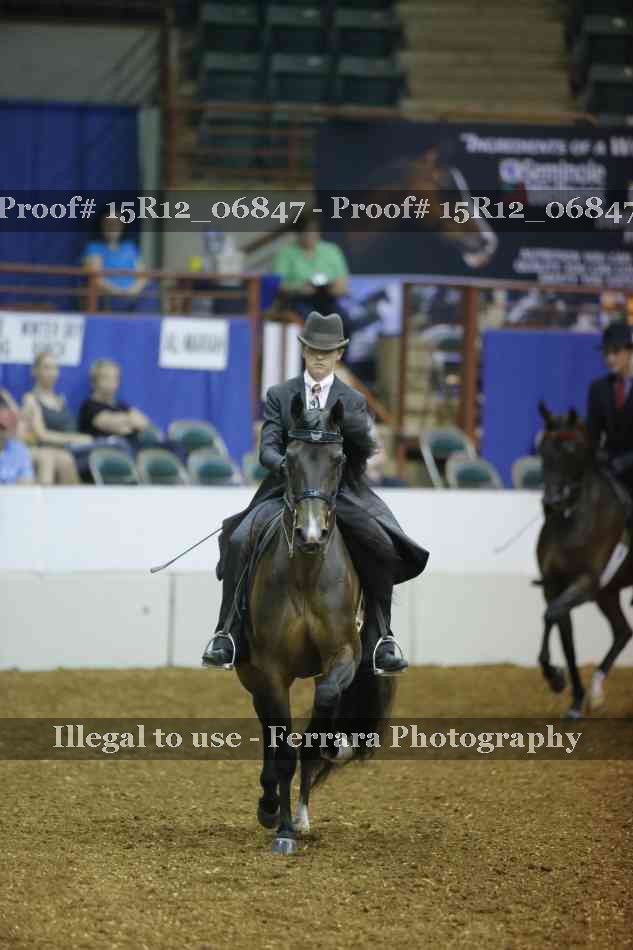 Proof 15R12_06847