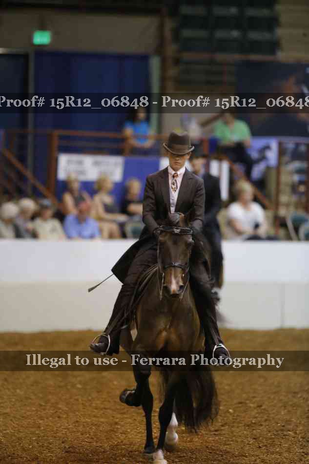 Proof 15R12_06848
