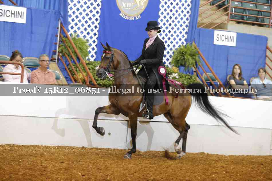 Proof 15R12_06851
