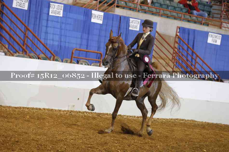 Proof 15R12_06852