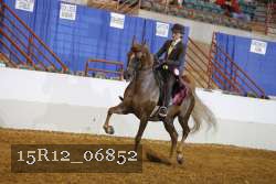 15R12_06852 proof