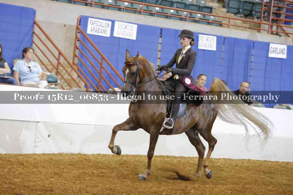 Proof 15R12_06853
