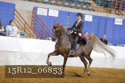 15R12_06853 proof