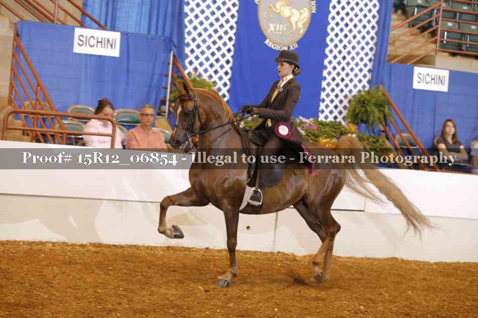 Proof 15R12_06854