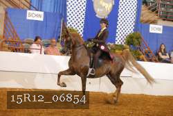 15R12_06854 proof
