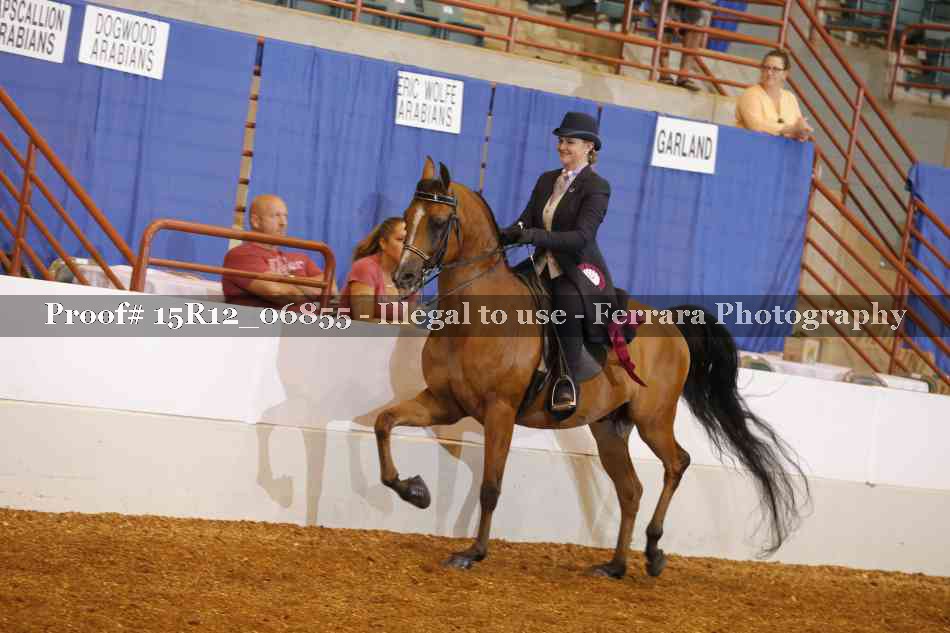 Proof 15R12_06855