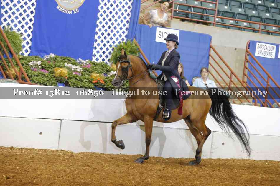 Proof 15R12_06856