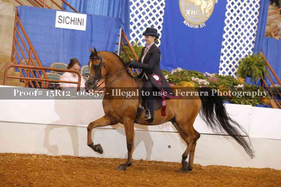 Proof 15R12_06857