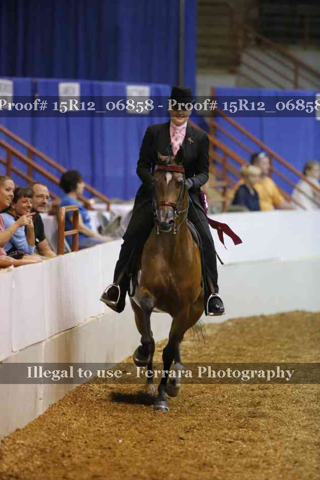 Proof 15R12_06858