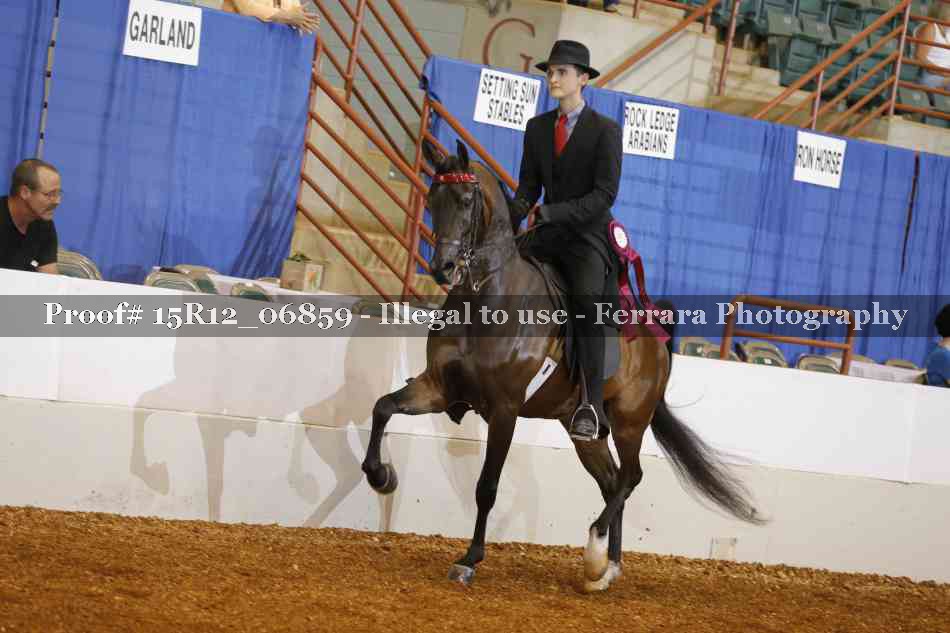 Proof 15R12_06859