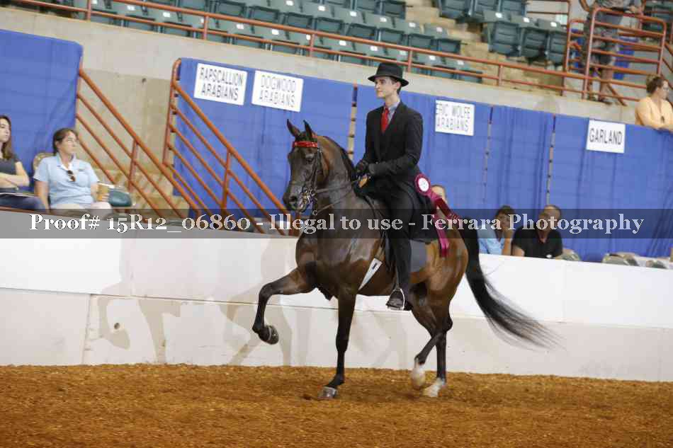 Proof 15R12_06860