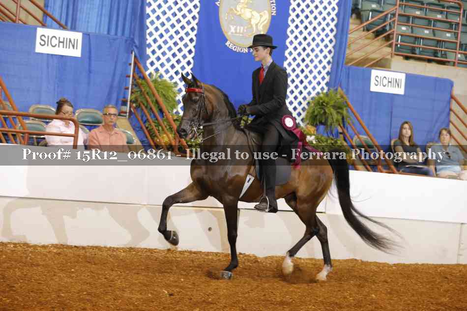 Proof 15R12_06861