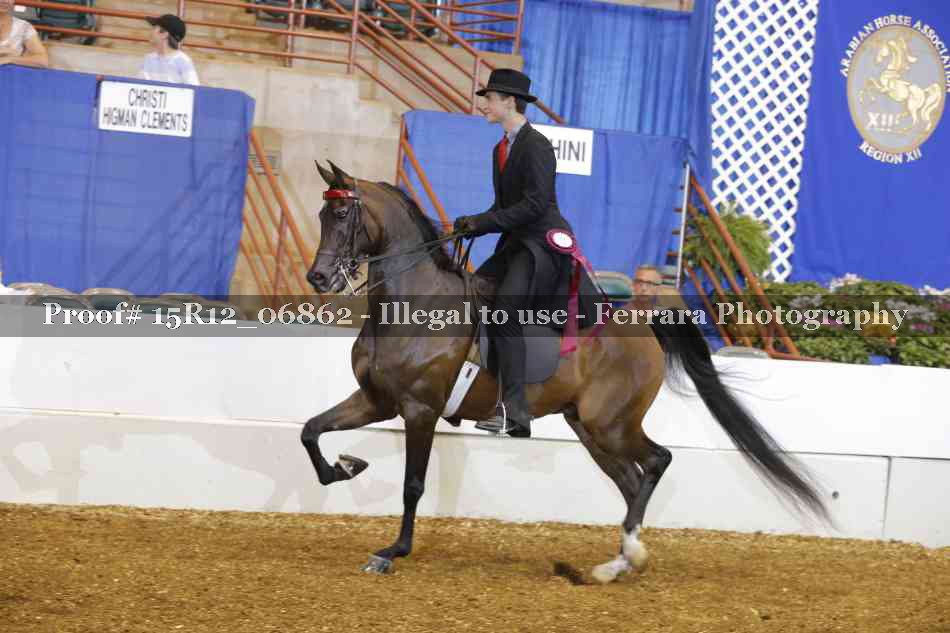 Proof 15R12_06862