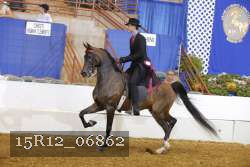 15R12_06862 proof