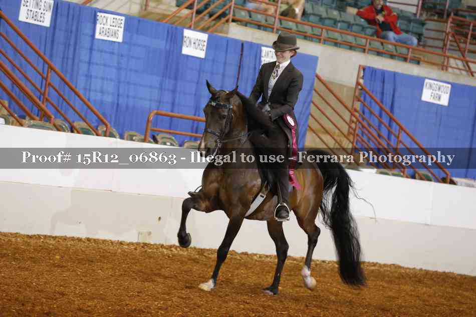 Proof 15R12_06863