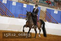 15R12_06863 proof