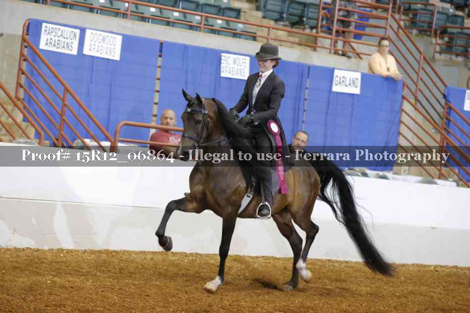 Proof 15R12_06864