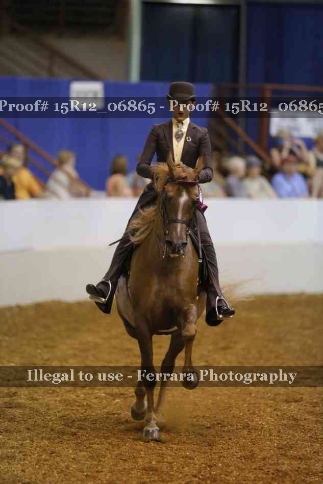 Proof 15R12_06865
