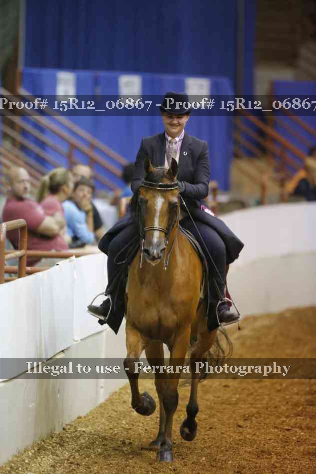 Proof 15R12_06867