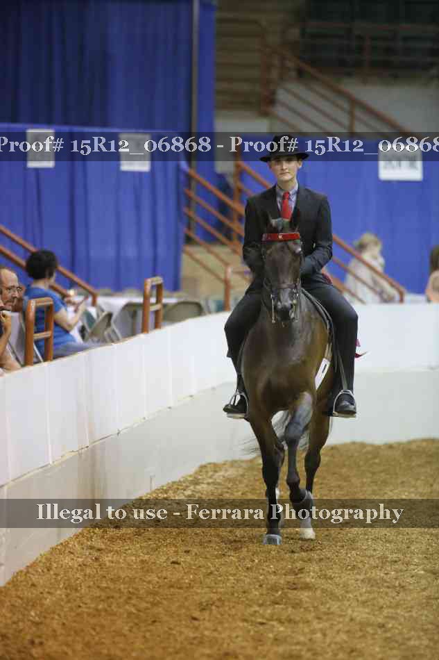Proof 15R12_06868