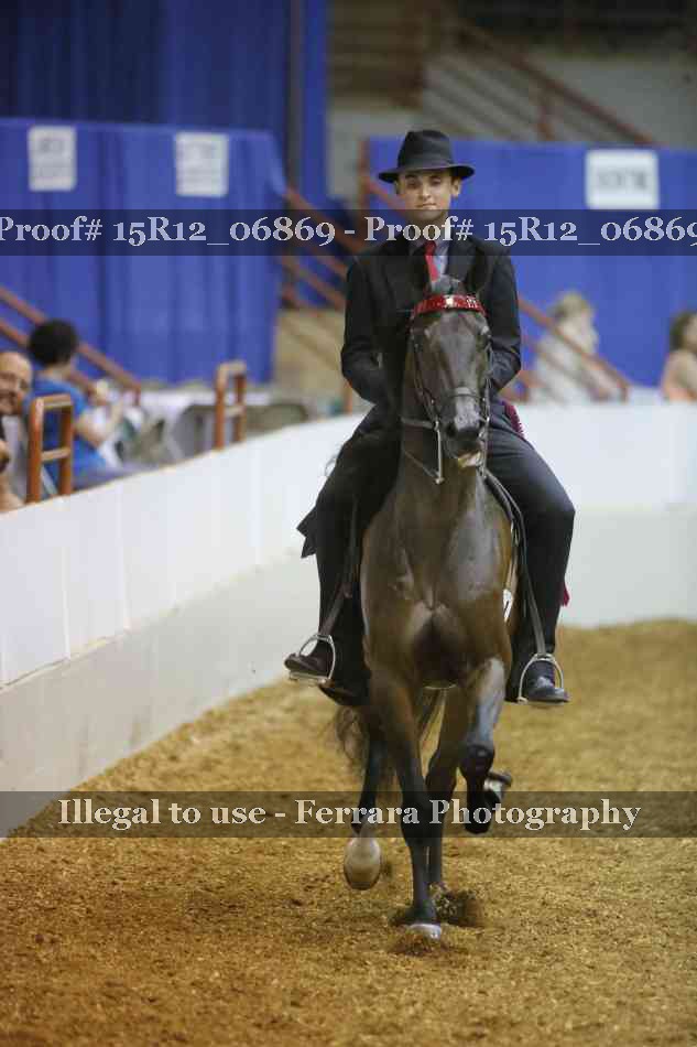 Proof 15R12_06869