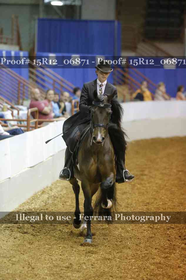 Proof 15R12_06871