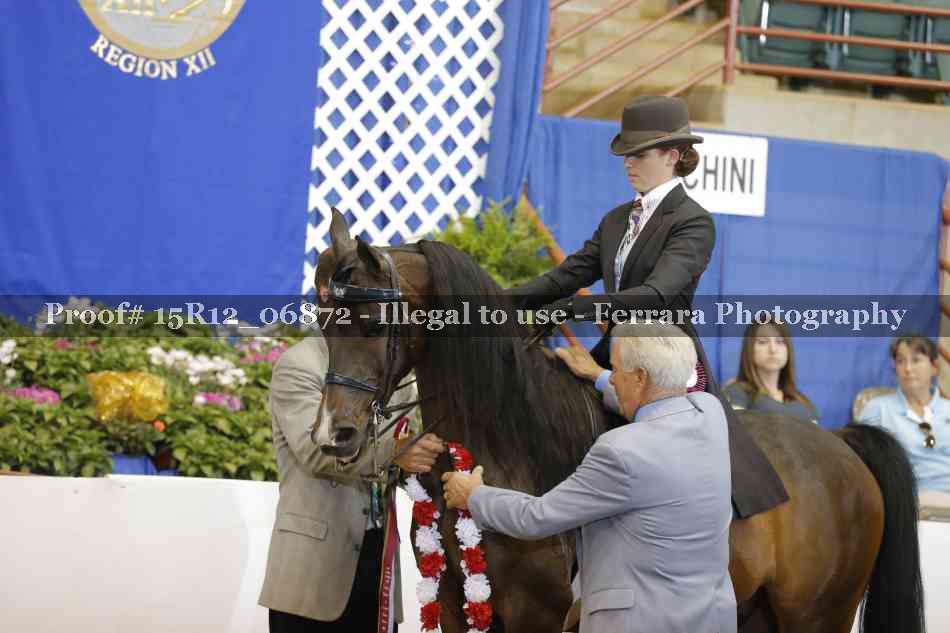 Proof 15R12_06872