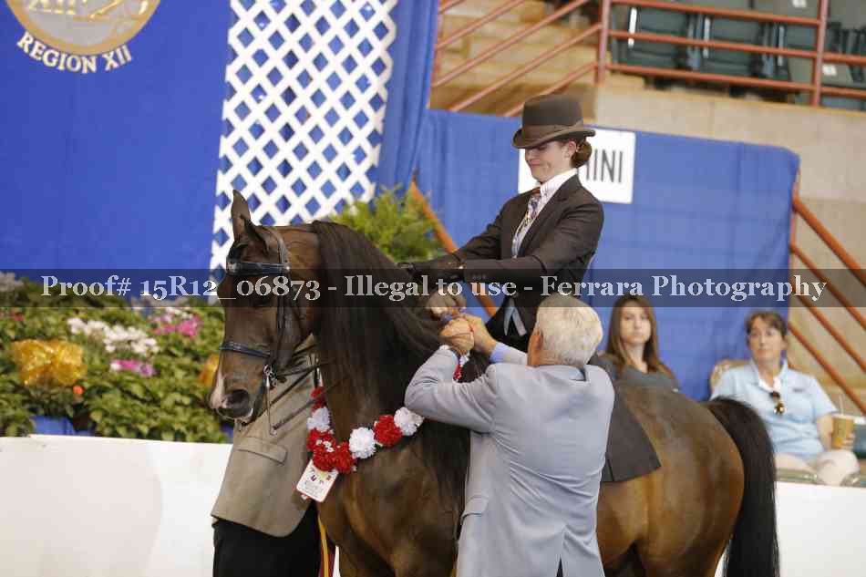 Proof 15R12_06873
