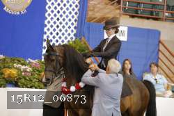 15R12_06873 proof