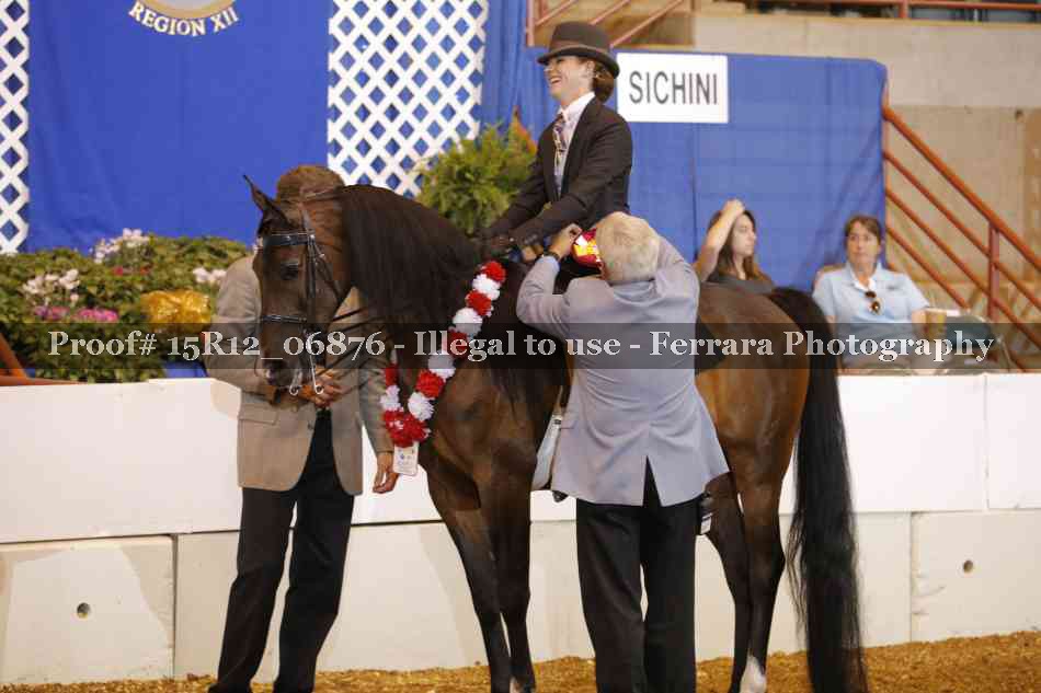 Proof 15R12_06876