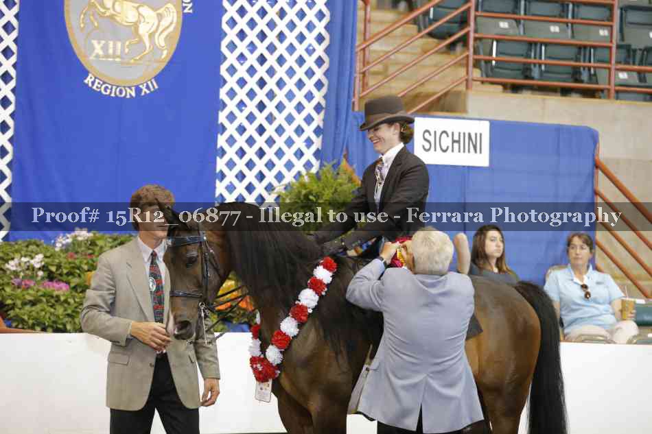 Proof 15R12_06877