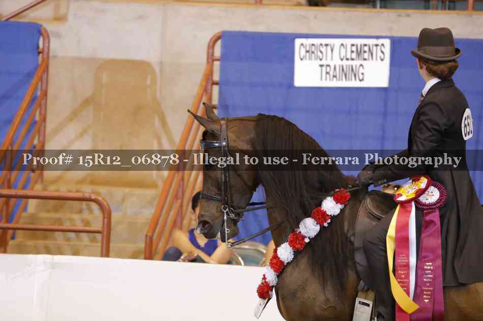 Proof 15R12_06878