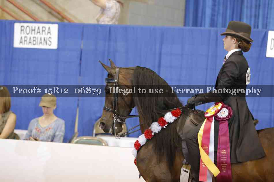 Proof 15R12_06879