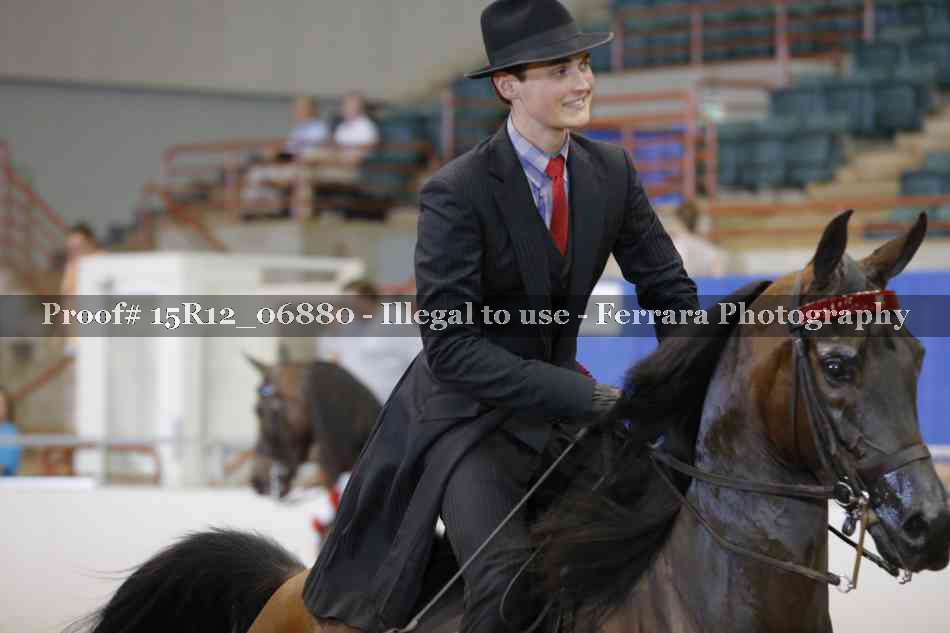 Proof 15R12_06880