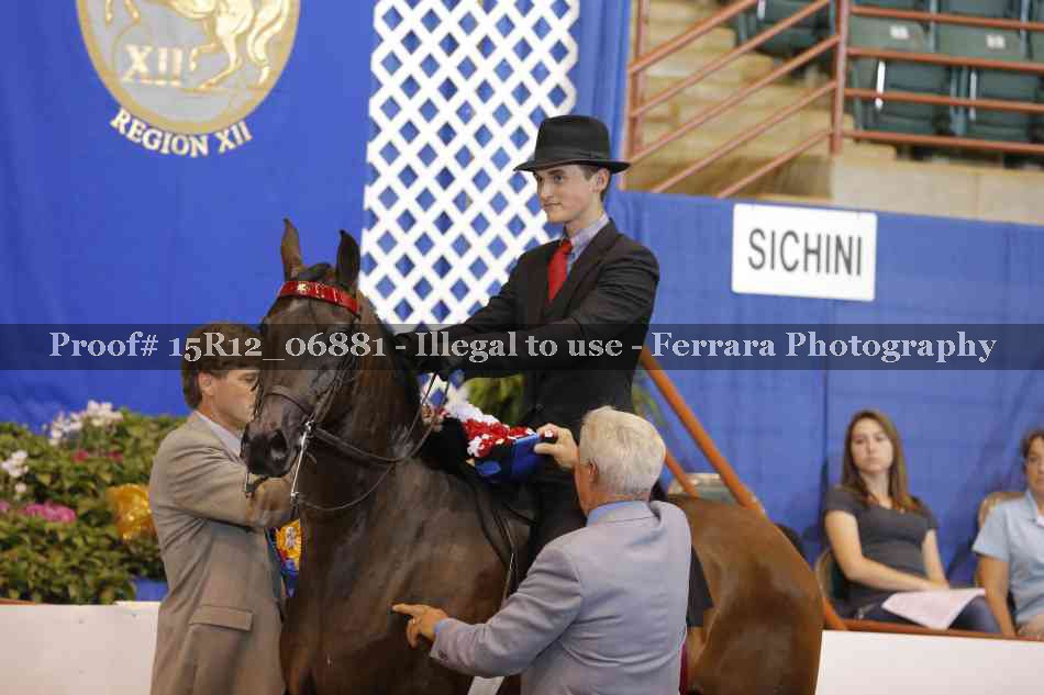 Proof 15R12_06881