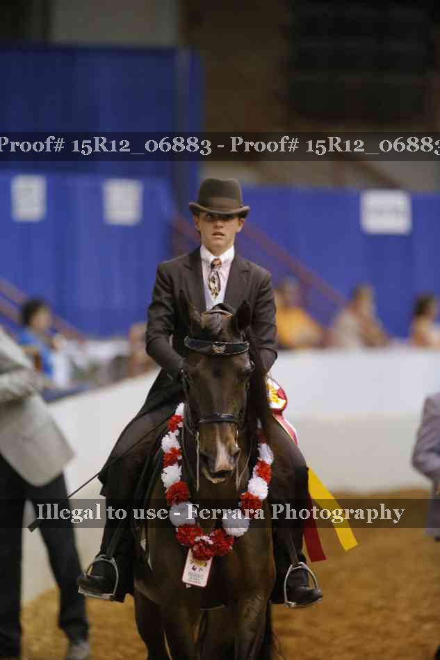 Proof 15R12_06883