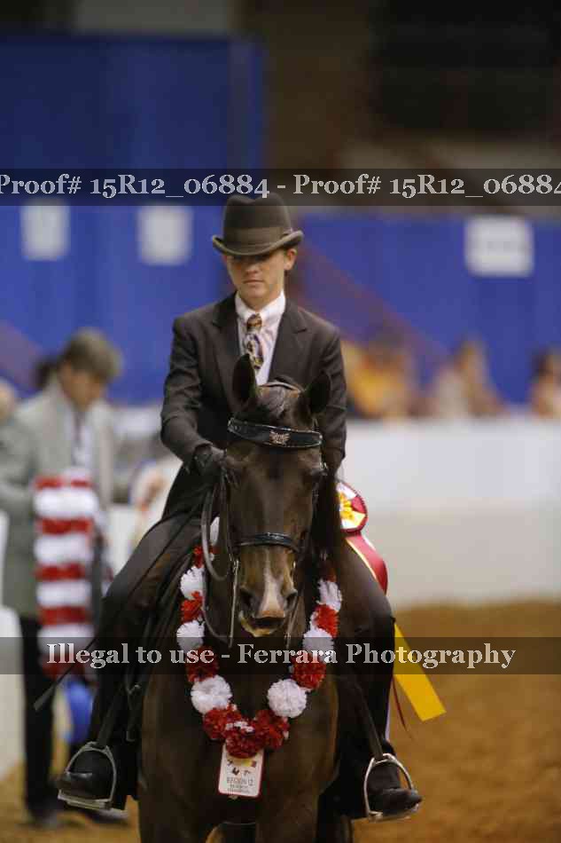 Proof 15R12_06884