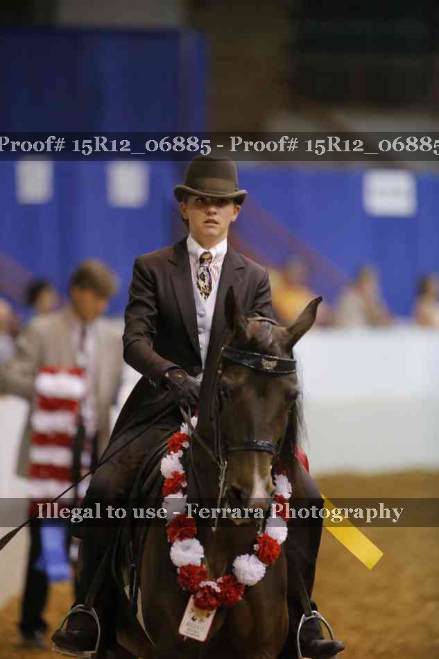 Proof 15R12_06885