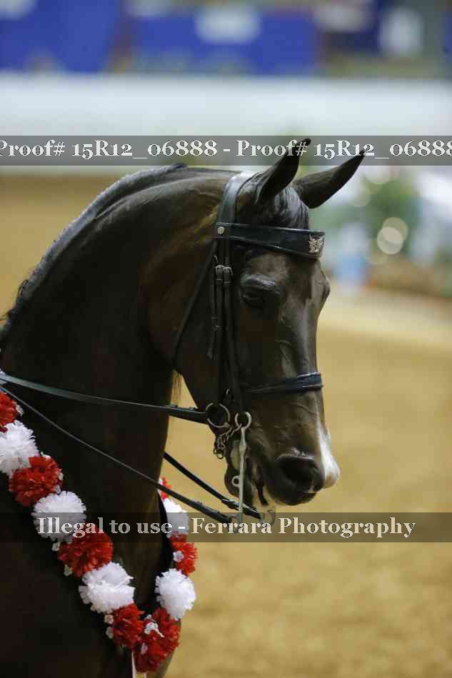 Proof 15R12_06888